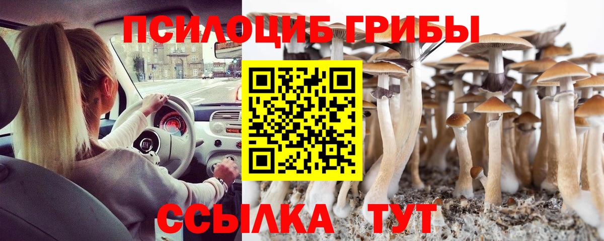 Галлюциногенные грибы мухоморы  Вход с VPN  Тосно 